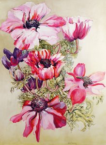 Anemonen